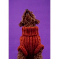 Furmey logo - Similar company to Dogguo
