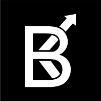 Bridgekash International Private Limited logo - Similar company to Perfect Web Solutions (Private) Limited.