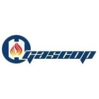 GASCOP SRL logo - Similar company to Lac - Logistics & Automation Consulting