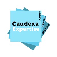 SARL CAUDEXA EXPERTISE logo - Similar company to Etan Communication
