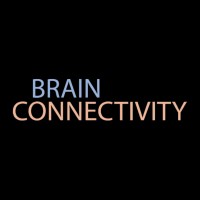 Brain Connectivity logo - Similar company to European Institute For Brain Research