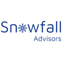 Snowfall Advisors logo - Similar company to Wrkng Digital