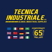 TECNICA INDUSTRIALE S.R.L. logo - Similar company to Bosquesa Sa