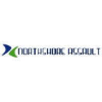 Northshore Assault Volleyball Club logo - Similar company to Sinjin Beach Volleyball Club