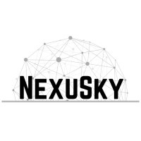 NexuSky Sales logo - Similar company to Sky Nexus