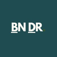 BN DR logo - Similar company to Dial Aps