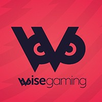 Wise Gaming logo - Similar company to Symplify