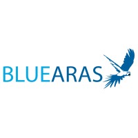 BLUEARAS logo - Similar company to Parquesoft