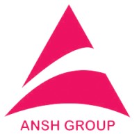 Aashvi Innovation (ANSH GROUP) logo - Similar company to Ansh Hr  (Savya Group)