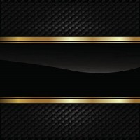 Independent Trader logo - Similar company to Tsunami Co.