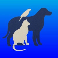 Central New Farm Veterinary Surgery logo - Similar company to Outback Chef @ Wild Food Farm