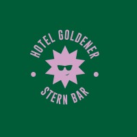 Stern Luzern AG logo - Similar company to Erevo Ag