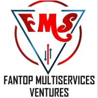 Fantop Multiservices Ventures logo - Similar company to Divnerix Innovations
