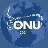 Simulação das Nações Unidas (SONU) logo - Similar company to Gepesoi - Grupo De Estudos, Pesquisa E Simulação De Organizações Internacionais