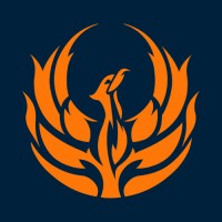 Fenix Insight Ltd logo - Similar company to Firstfort Group