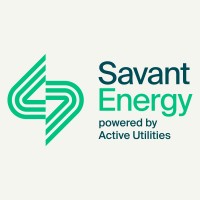 Savant Energy logo - Similar company to Boxbee, Inc.