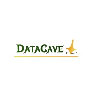 Data-Cave logo - Similar company to Datacave