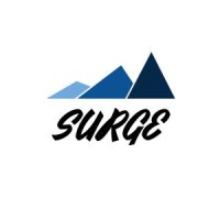 Surge Consultant Group logo - Similar company to Surge Consulting, Inc.