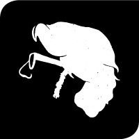 Xevi Estudi logo - Similar company to Realise Studio