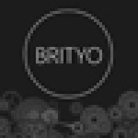 Brityo Enterprise logo - Similar company to And Convergence