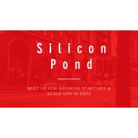 Silicon Pond logo - Similar company to Chiltern Consultancy Ltd