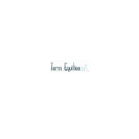 Term Equities logo - Similar company to Valiant Intelligence