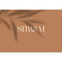 Stratum by JK logo - Similar company to Rawkanvas