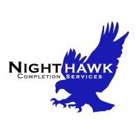 Nighthawk Completion Services logo - Similar company to Palladium Solutions Group, Llc