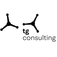 TG Consulting logo - Similar company to Category Design Advisors