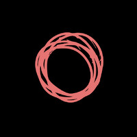 BeginBird logo - Similar company to Polyvault Auto