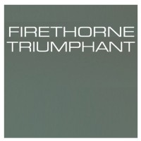 FIRETHORNE TRIUMPHANT logo - Similar company to Hana Solutions Llc