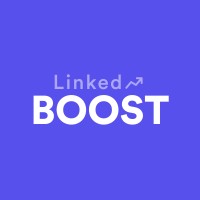 Linked Boost logo - Similar company to Networking Expert