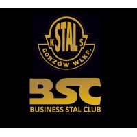 Stal Gorzów / BSC logo - Similar company to Wts Sparta Wrocław S.A.