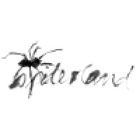 Spiderland