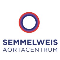 Semmelweis Aortic Center logo - Similar company to Doktorpro