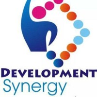 Development Synergy logo - Similar company to Noble Missions For Change Initiative