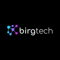 BIRG Technology logo - Similar company to Wedosoftware