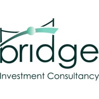 Bridge Investment Consultancy - Africa logo - Similar company to Skillbyte Training And Consultancy