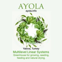 AYOLA MODERN SERACILIK logo - Similar company to Castor Coffee Roastery