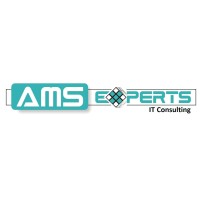 AMS Experts IT Consulting logo - Similar company to Ams Technologies, Llc