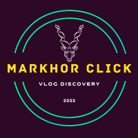 MarkhorClick logo - Similar company to Borders Consult Llc