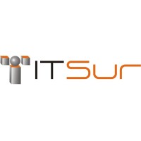 ITsur logo - Similar company to Solution-It