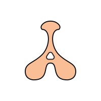 Arroyo logo - Similar company to Cinema Tropical