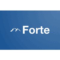 Forte logo - Similar company to Forte