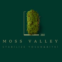 Moss Valley 360 logo - Similar company to Fg Studio