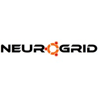 Neurogrid systems Pvt.Ltd logo - Similar company to Embedgallery Electronics Pvt Ltd