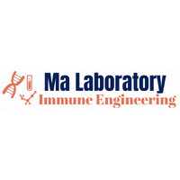 Ma Lab for Immune Engineering logo - Similar company to Center For Engineering Mechanobiology (Cemb)