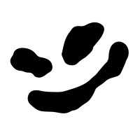 Amor Corp logo - Similar company to Studio#0000Ff