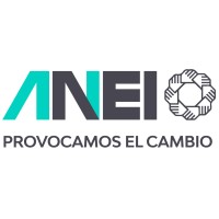 ANEI logo - Similar company to Kaná