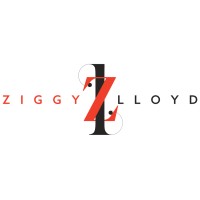 Ziggy Lloyd logo - Similar company to Colorchain